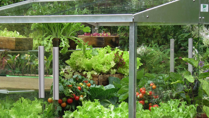 Homebridge Garden Mini Greenhouses
